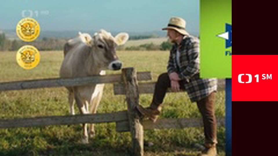 Případy detektiva Murdocha - Vítej v ráji