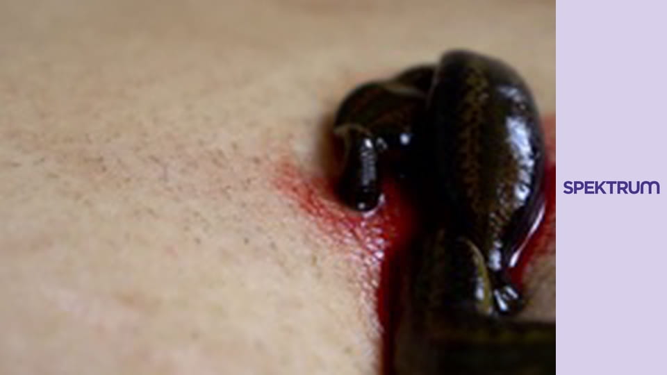 Rejtélyes furcsaságok S5E10 - Anyahajó