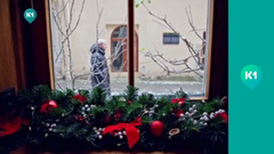 "Хижі до їжі" з Андрієм Бєдняковим.