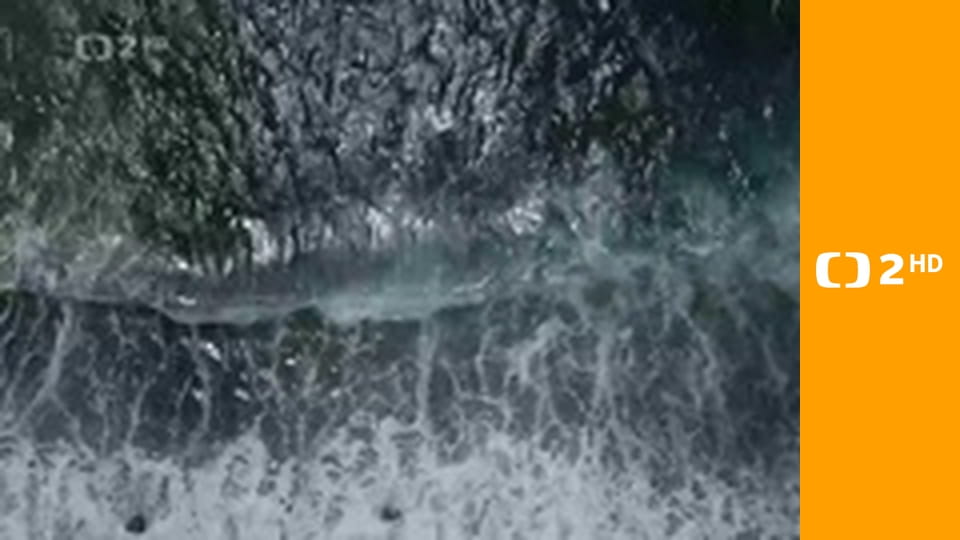 Dobrodružství vědy a techniky - Druhová rozmanitost uprostřed oceánu