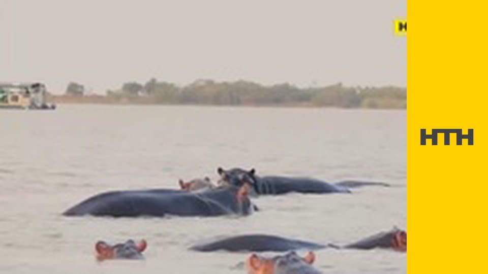 Т/с "Елементарно", 1 сезон, 9 і 10 с.