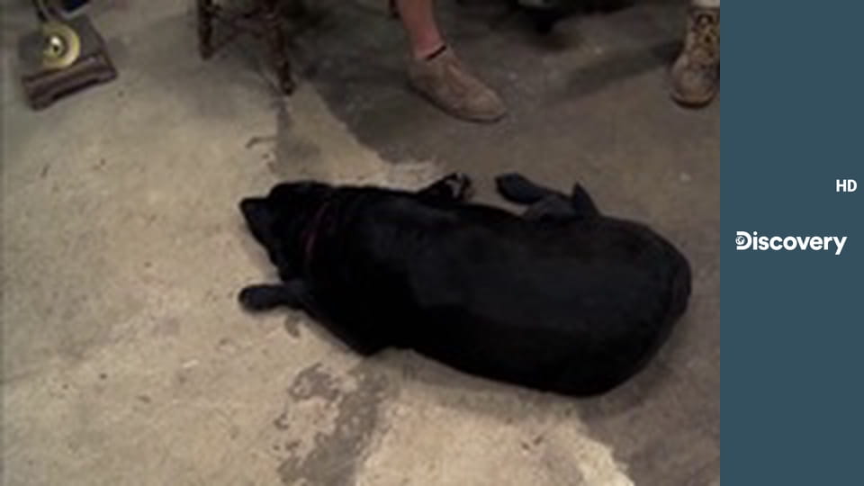 Спасатели имущества S1E10 - Церковь четырехстороннего Евангелия