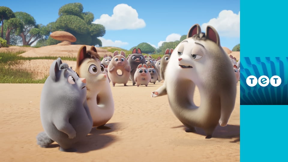 Пончари. Глобальне заокруглення