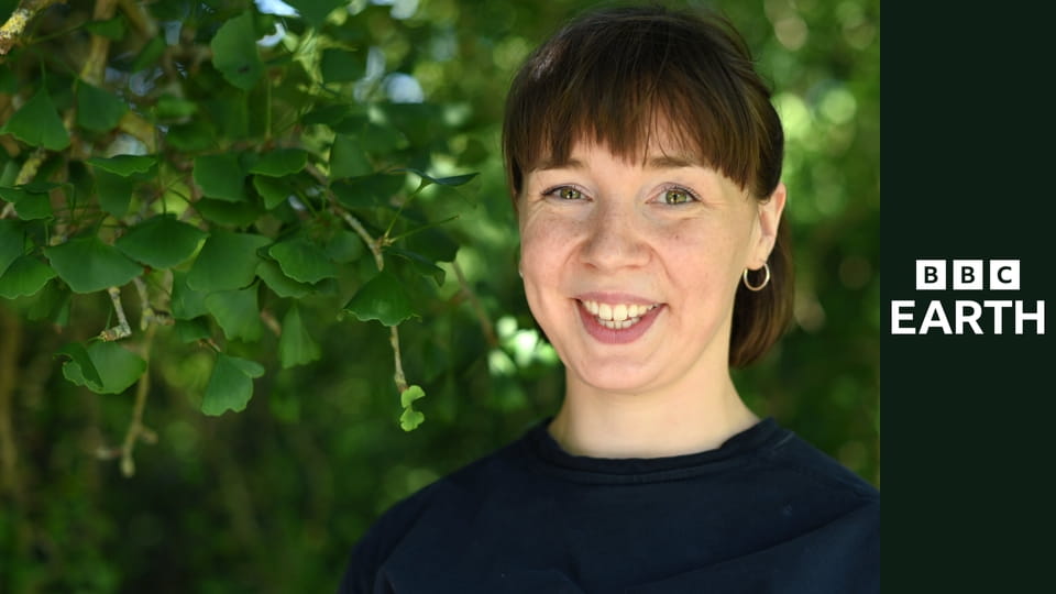 Sekretne życie drzew S1E2