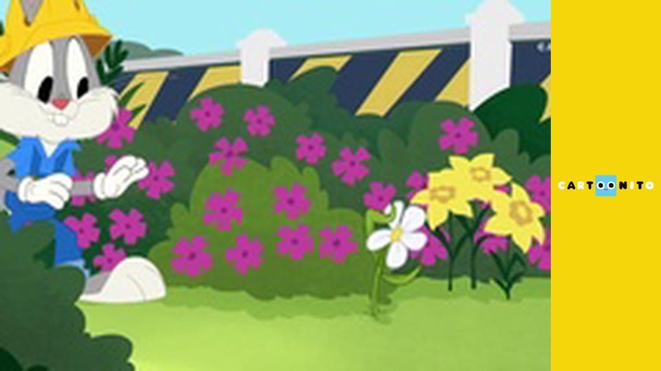 Bugs Bunny Stavitelé S2E18 - Porko perfektní průvod