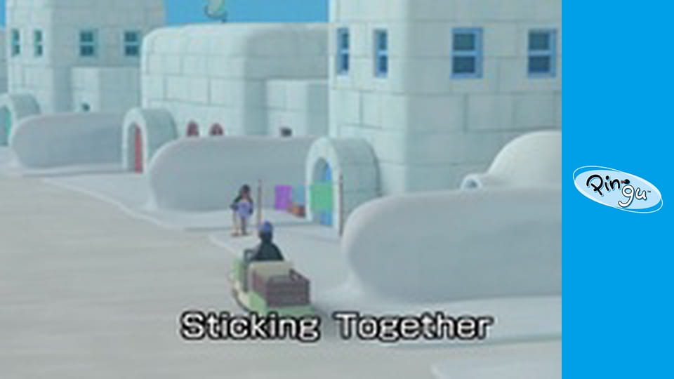 Pingu w miescie Sezon 1 Odcinek 24