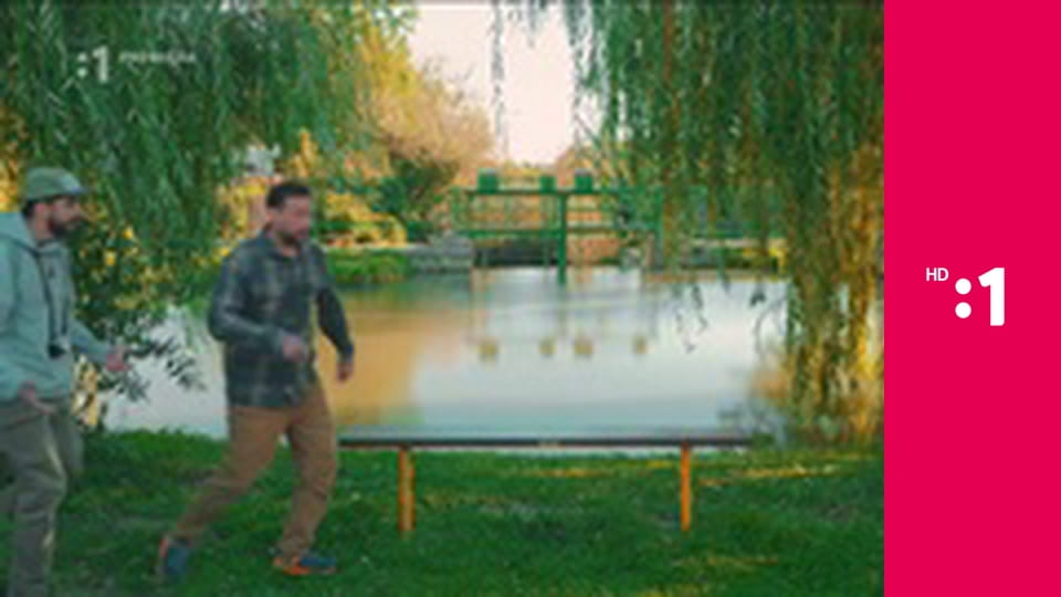 Zvuky domova E11 - Zeleneč