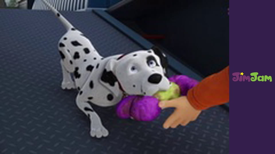 Franklin And Friends S4E2 - Franklin and the Acorn Alley Picnic / The Super Cluepers’ Case of the Missing Hat