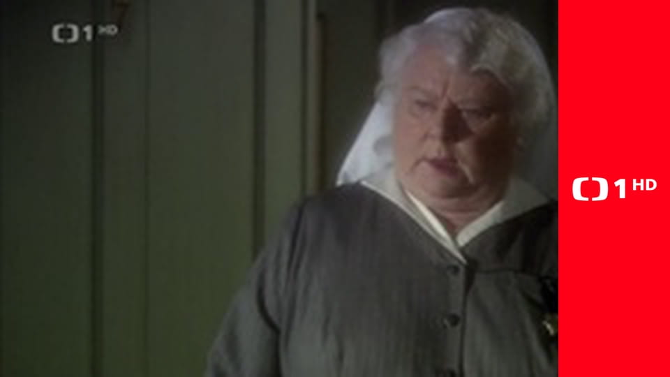 Hercule Poirot XI - Kočka mezi holuby