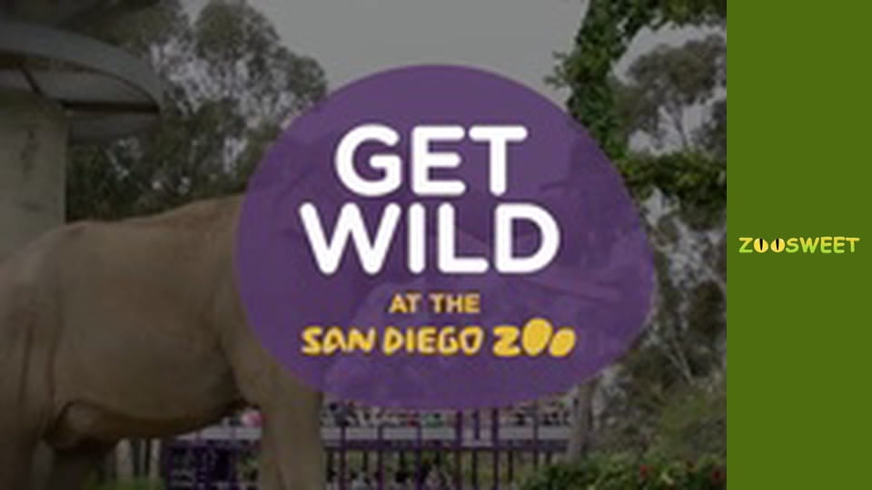 Get Wild at the San Diego - episode 17