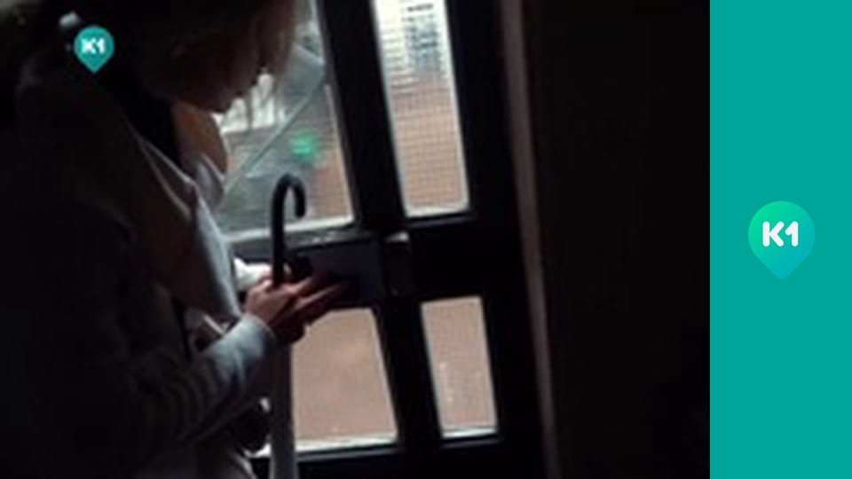 "Пригоди з Яною Метьолкіною".