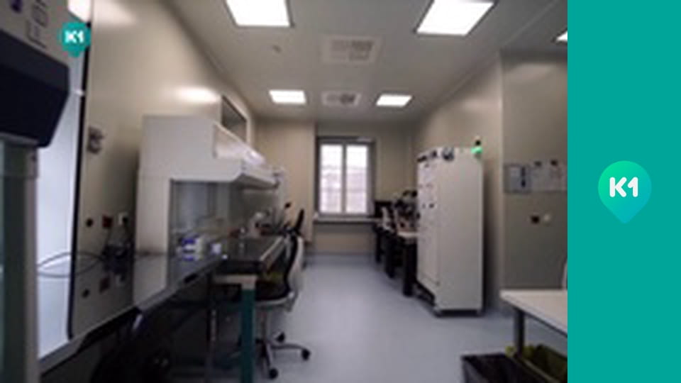 "Інший світ".