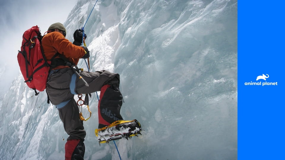 Everest: Za hranice možností S2E2 - Na lanech