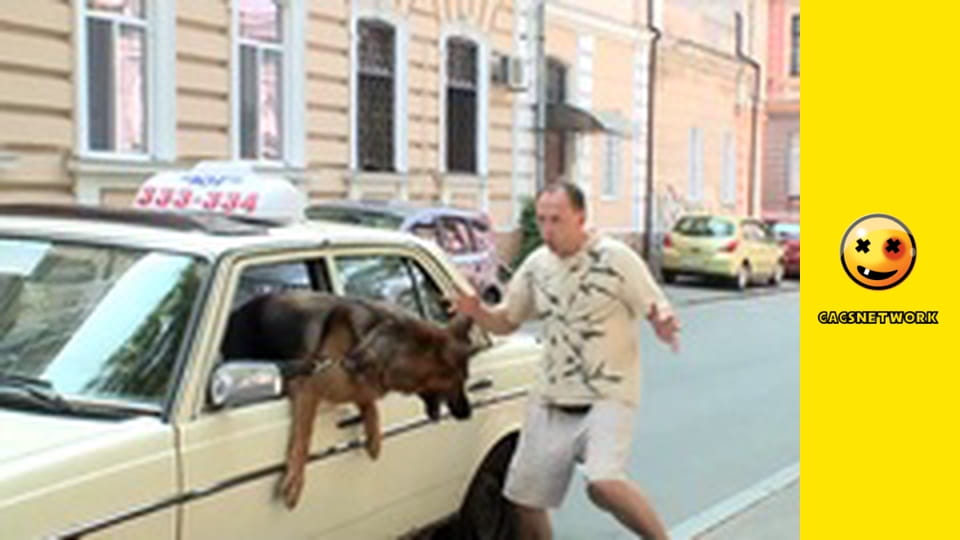 Funny & Funnier, 8 еп.