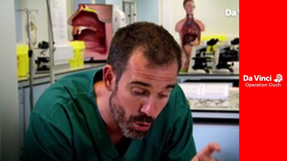 Aućtastycznie! - Uszy