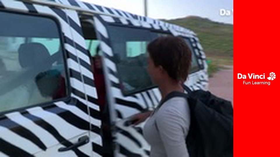 Siyaya - Come Wild With Us - The Flowering Desert