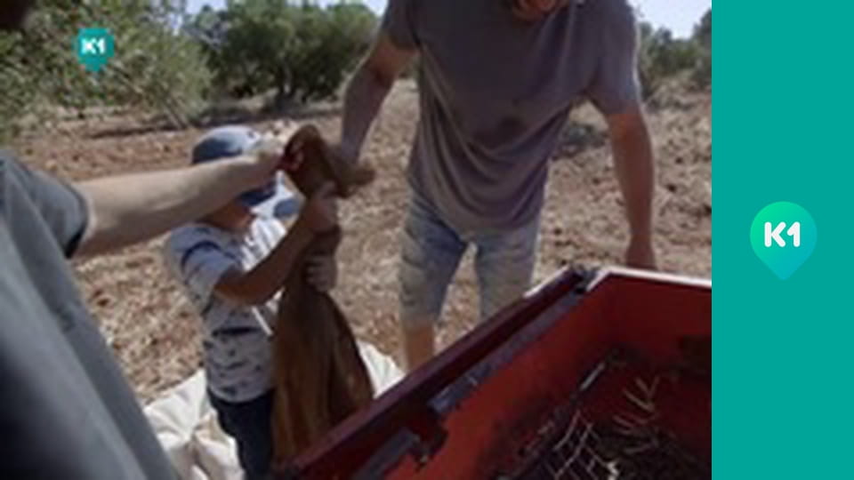 "Інший світ".