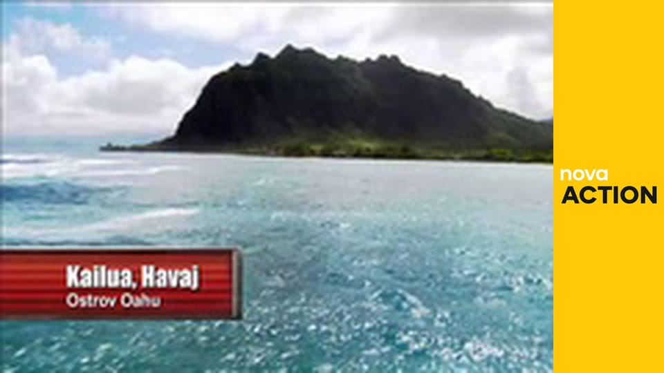 Mistři aukcí S3E25 - Zlato a rukavice