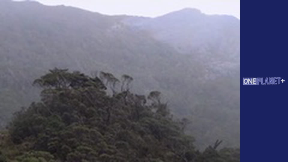 In search of knowledge. - episode 26