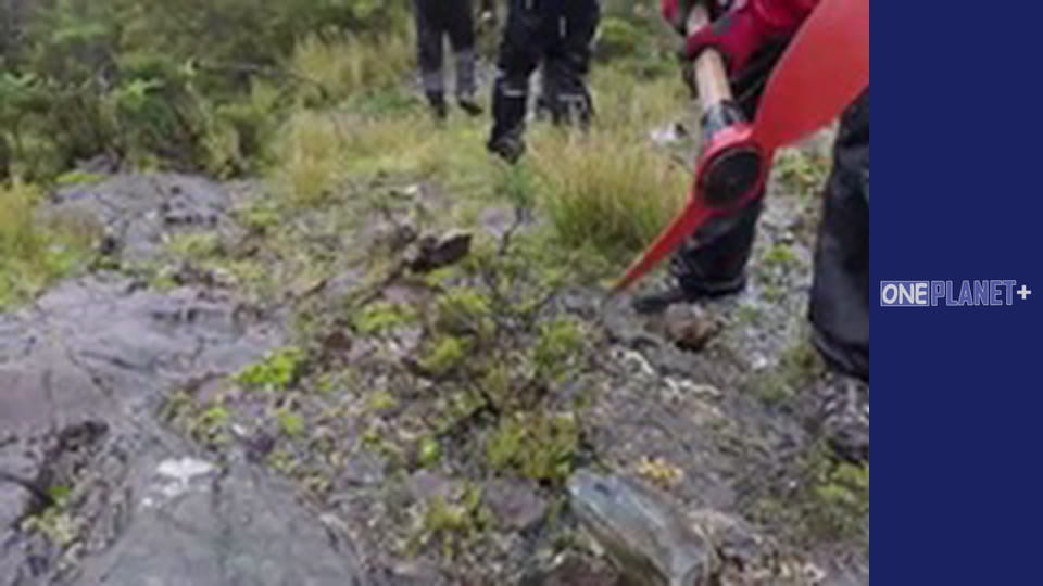 In search of knowledge. - episode 26