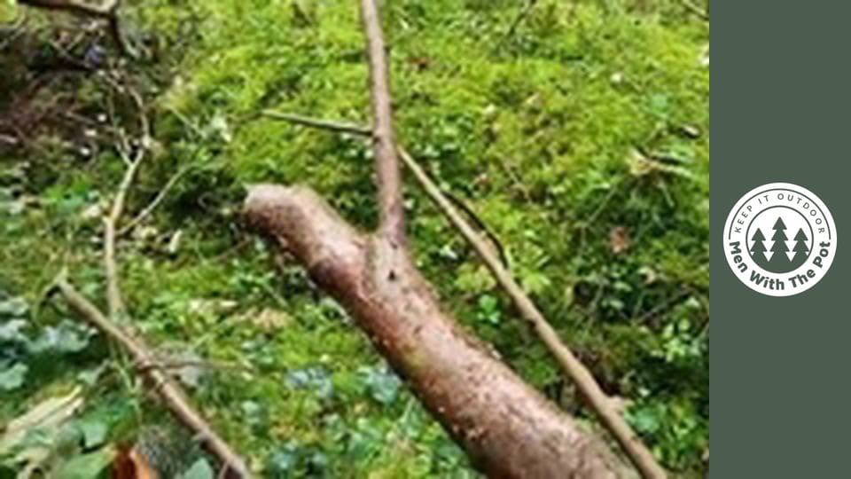 Mindent egybe csirke curry