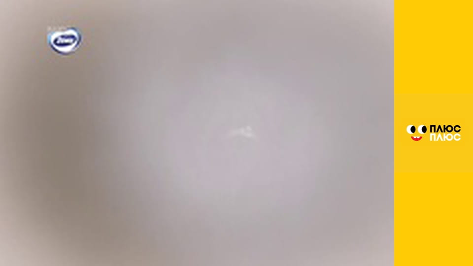 Губка Боб Квадратні Штани