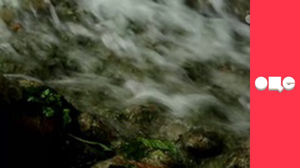 Особливості національної роботи, 1 сезон, 9 еп.