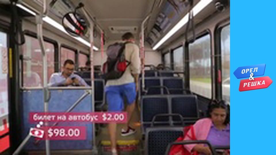 Sea season 2 – Tampa