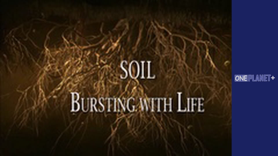 In search of knowledge. - episode 16