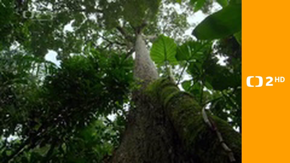 Kořeny života E1 - Tvrdý oříšek k rozlousknutí