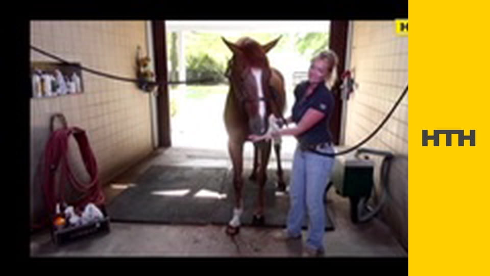 "Таємниці світу".