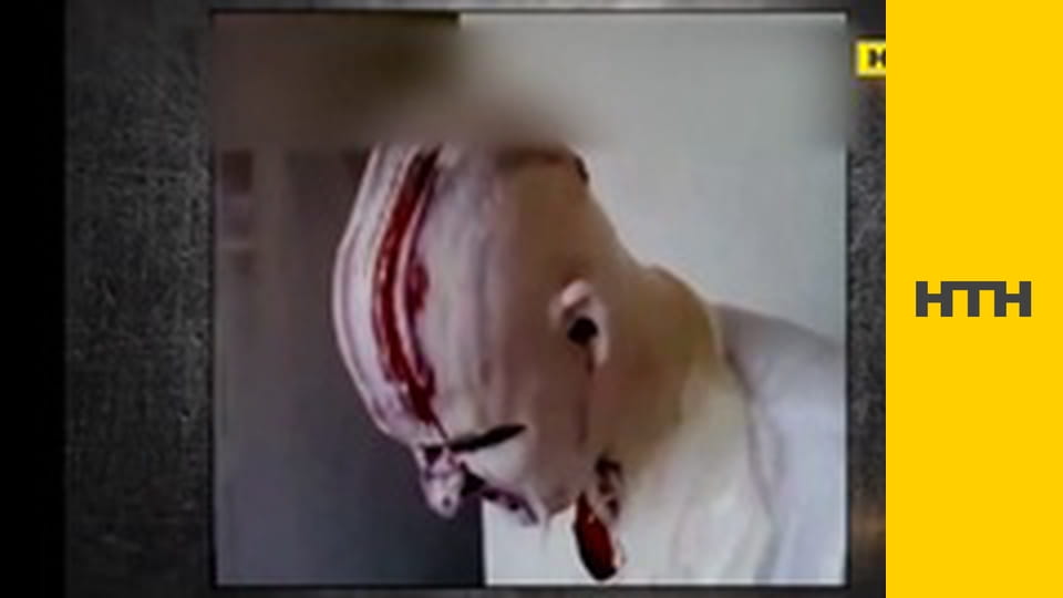 "Правда життя. Професійні байки".