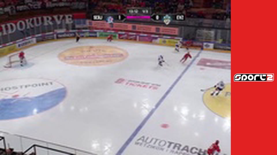 Lední hokej - Rapperswil-Jona - Zug