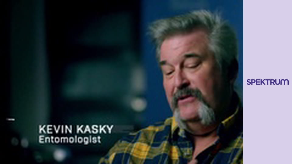 Zvláštní a záhadné S5E12 - Ďábelská loutka