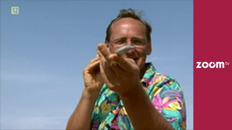 Wojciech Cejrowski - boso przez świat S1E64 - Szafir