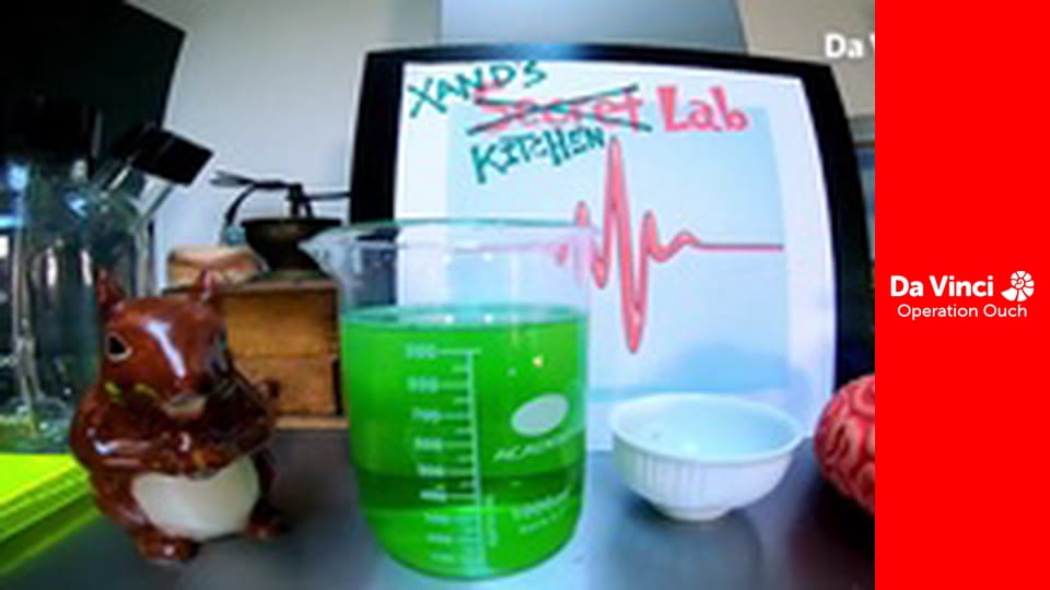 Operation Ouch! - Do Try This at Home - Bacteria