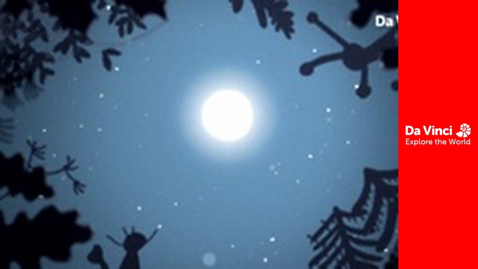 Młode zwierzaczki - Dziki