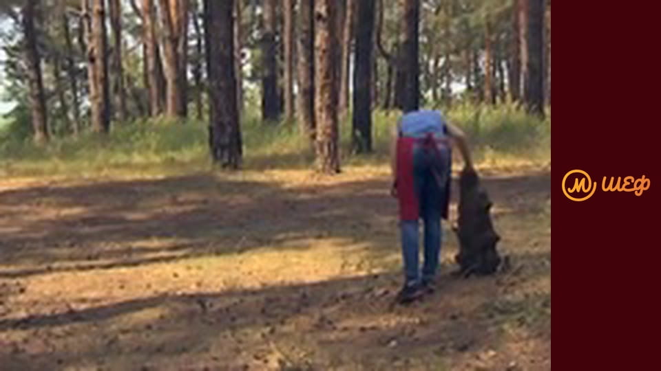 Сезон 8, Випуск 2, Частина 15