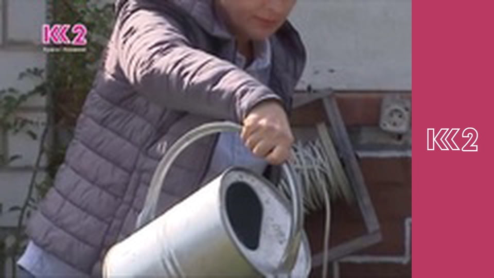 Удачний проект S1E25