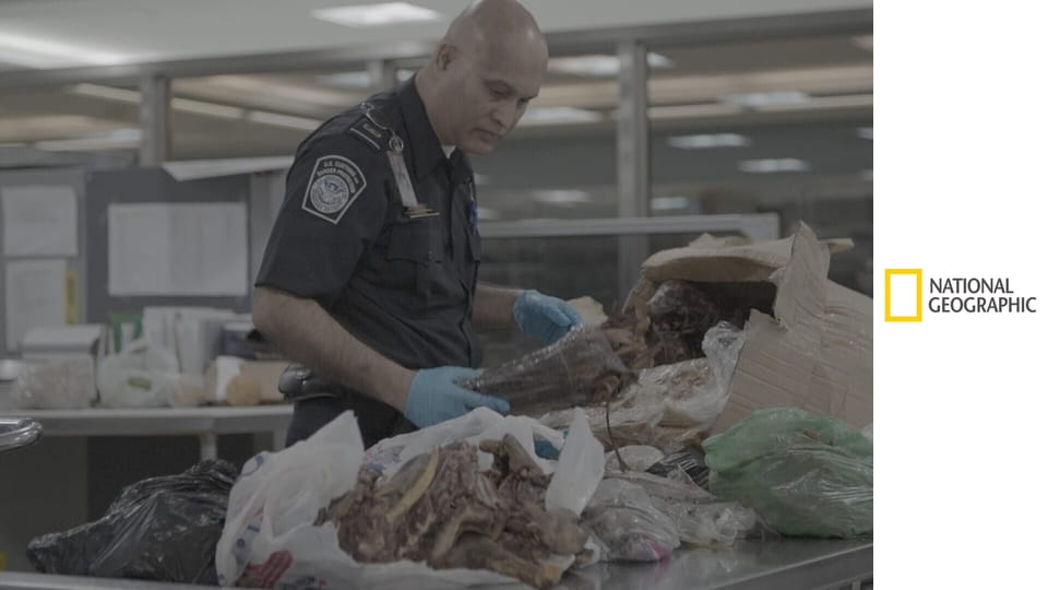 Jak chytit pašeráka - letiště JFK S5E6 - Snadný výdělek