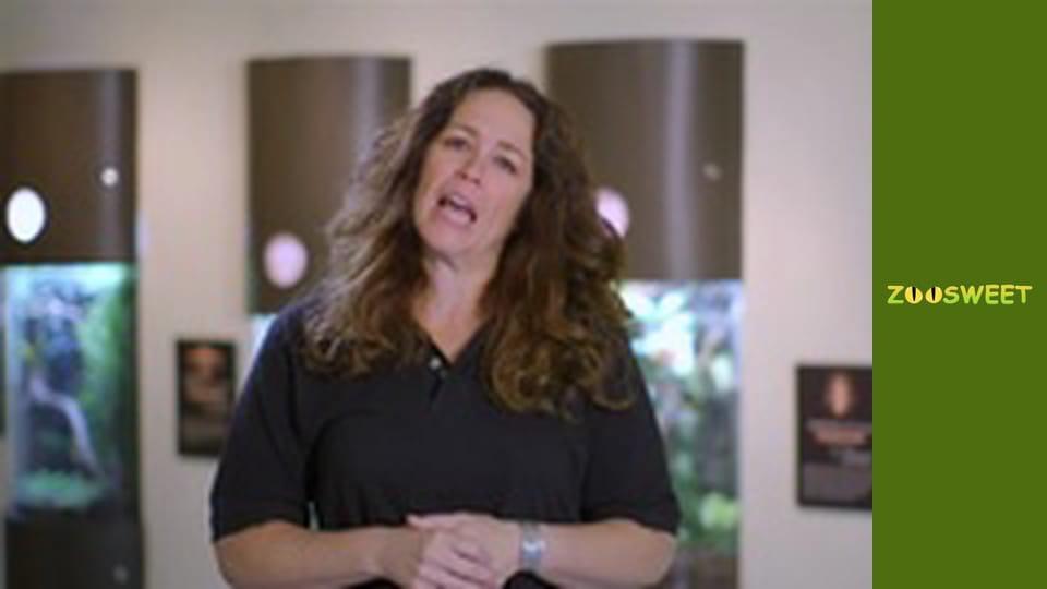 Wild Wonders at the San Diego - episode 4