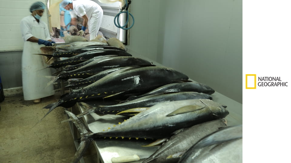 Непокорные океаны S1E1 - Преступление