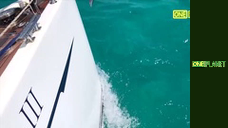 Дальние берега, 2 сезон, 7 эп.