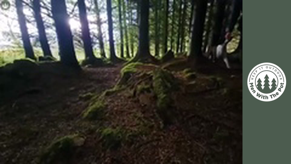 Nejlepší způsob, jak připravit lososa v přírodě