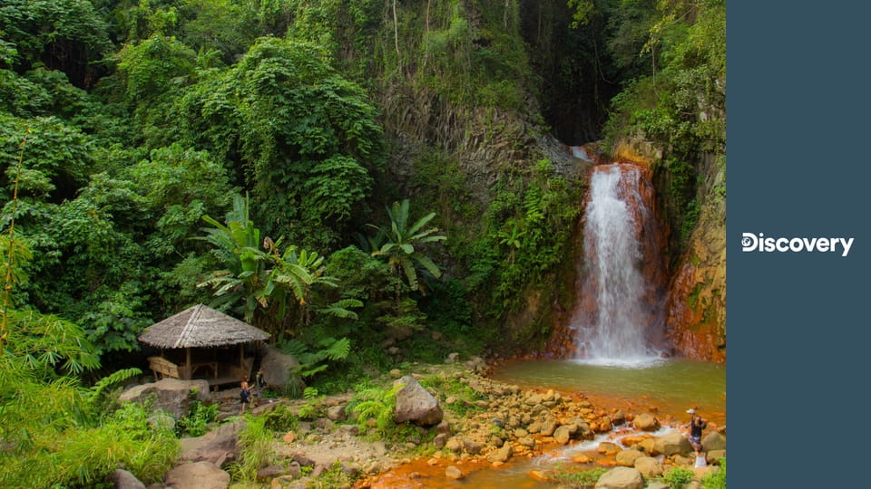 Голые и напуганные S2E22 - Лесной король