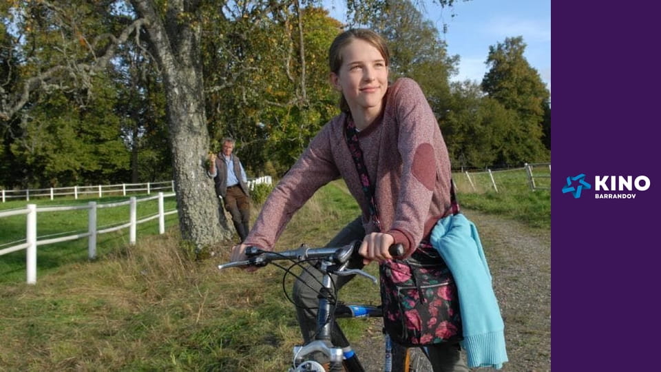 Inga Lindström: Divocí koně