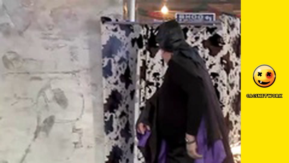 Crazy TV Pranks, 24 еп.