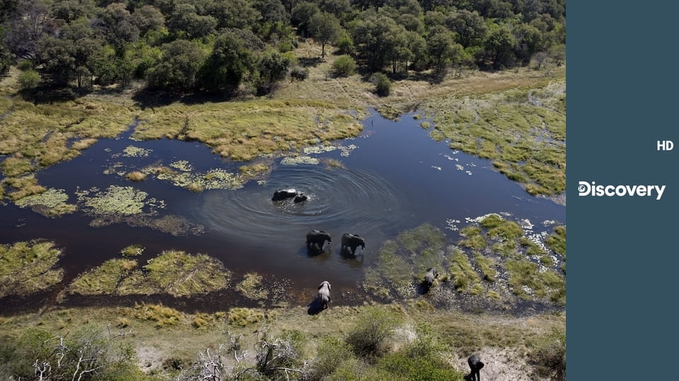 Голые и напуганные S8E1 - Покинутая деревня