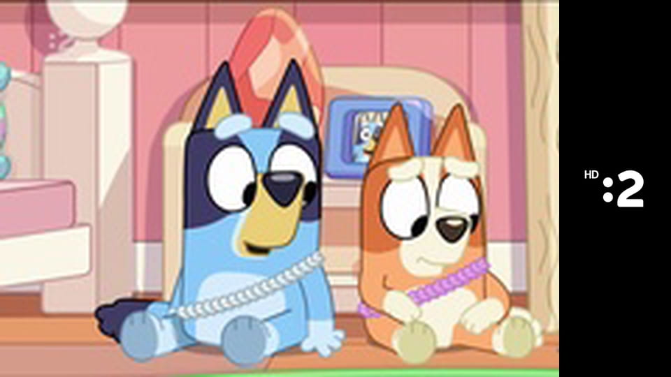 Pa a Pi E35 - Tajomný bezoár