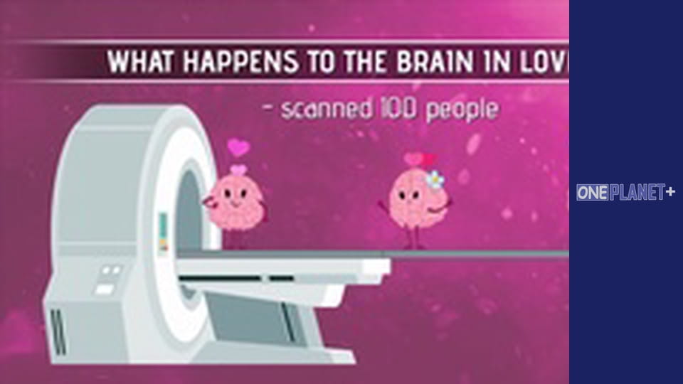 Ваш фантастичний розум, Сезон 1, Випуск 6